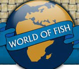 The World Of Fish
