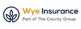 Wye Insurance Consultants