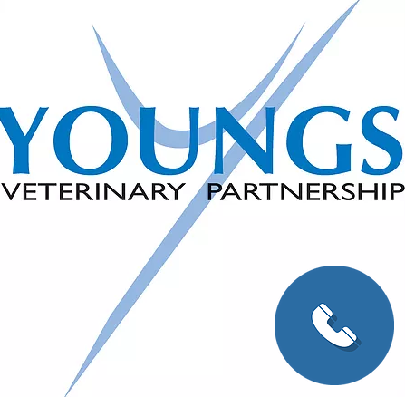 Youngs Veterinary Hospital