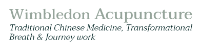 Wimbledon, Claygate, Hersham, Acupuncture