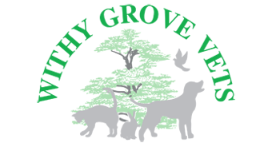 The Withy Grove