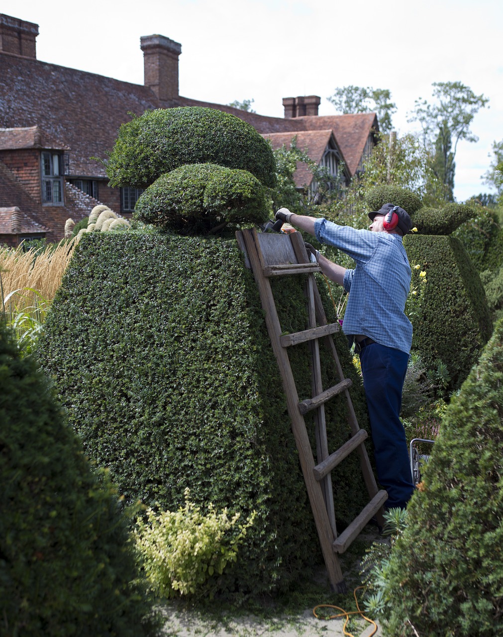 Hitchin Gardener Services