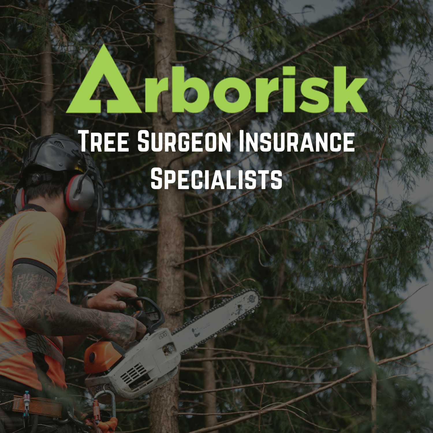 Arborisk Tree Surgeon Insurance