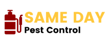 Same Day Pest Control London