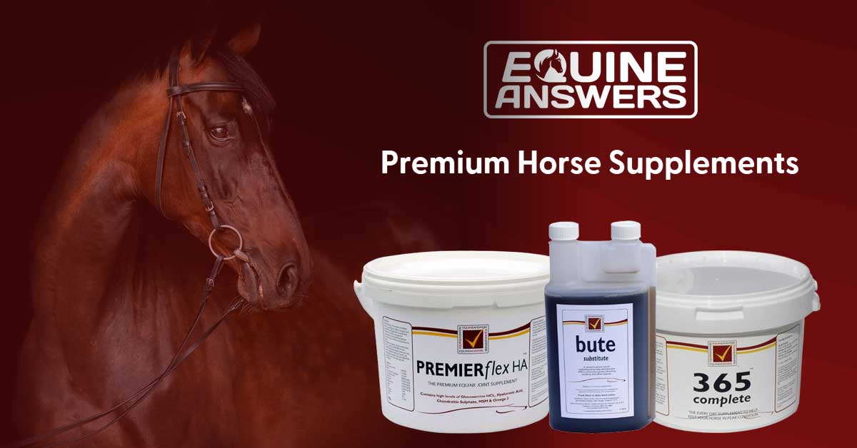 Equine Answers