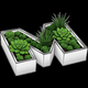 Metal Planters Ltd