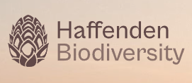 Haffenden Biodiversity