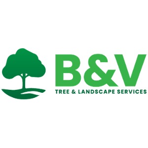 B & V Tree & Landscape Services