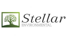 Stellar Environmental