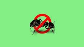 DriveOut Pest Control Services