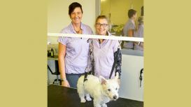 Dog Grooming At Megs