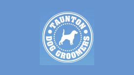 Taunton Dog Groomers