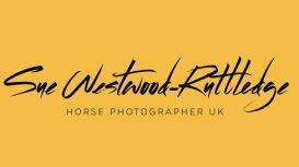 Horse Photographer Uk