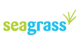 Seagrass