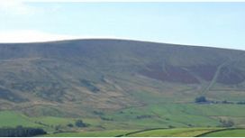John Pallister Chartered Surveyors